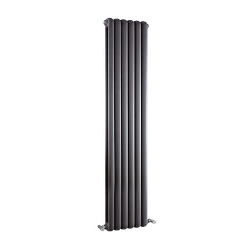 Salvia Vertical Double Panel Radiator