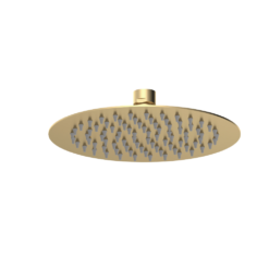 Brushed Brass Round Fixed Head